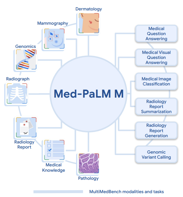 Med-PaLM M